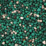 Fertilizer Basics